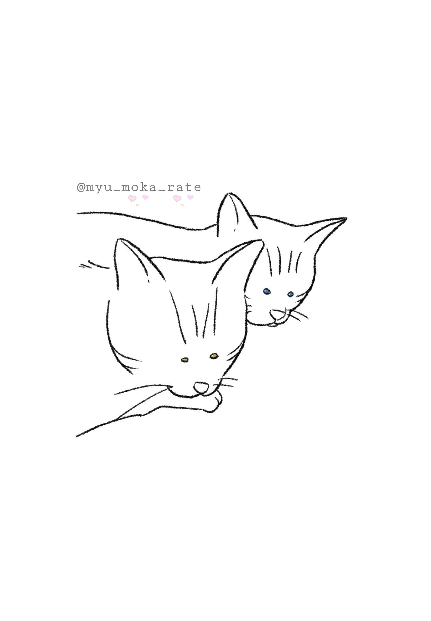 ゆるねこゆるいぬ Looseyanimal Twitter