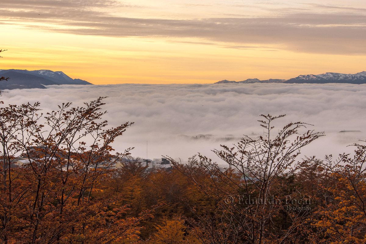 eduardopocai's tweet photo. Y Ushuaia?? ¿Donde está? Está, claro, pero debajo de una inmensa nube que la acariciaba. Magnífico para una histórica foto!! https://t.co/soVZarI5Z2