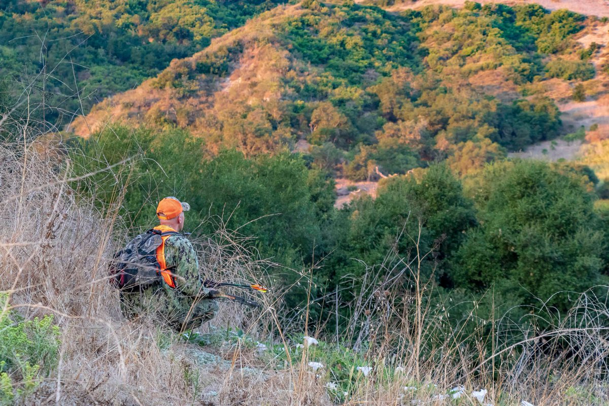 Lazy Lab Hunting Club tweet media