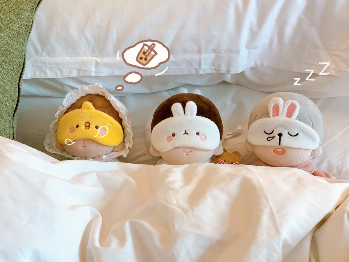 미더덕 tweet media