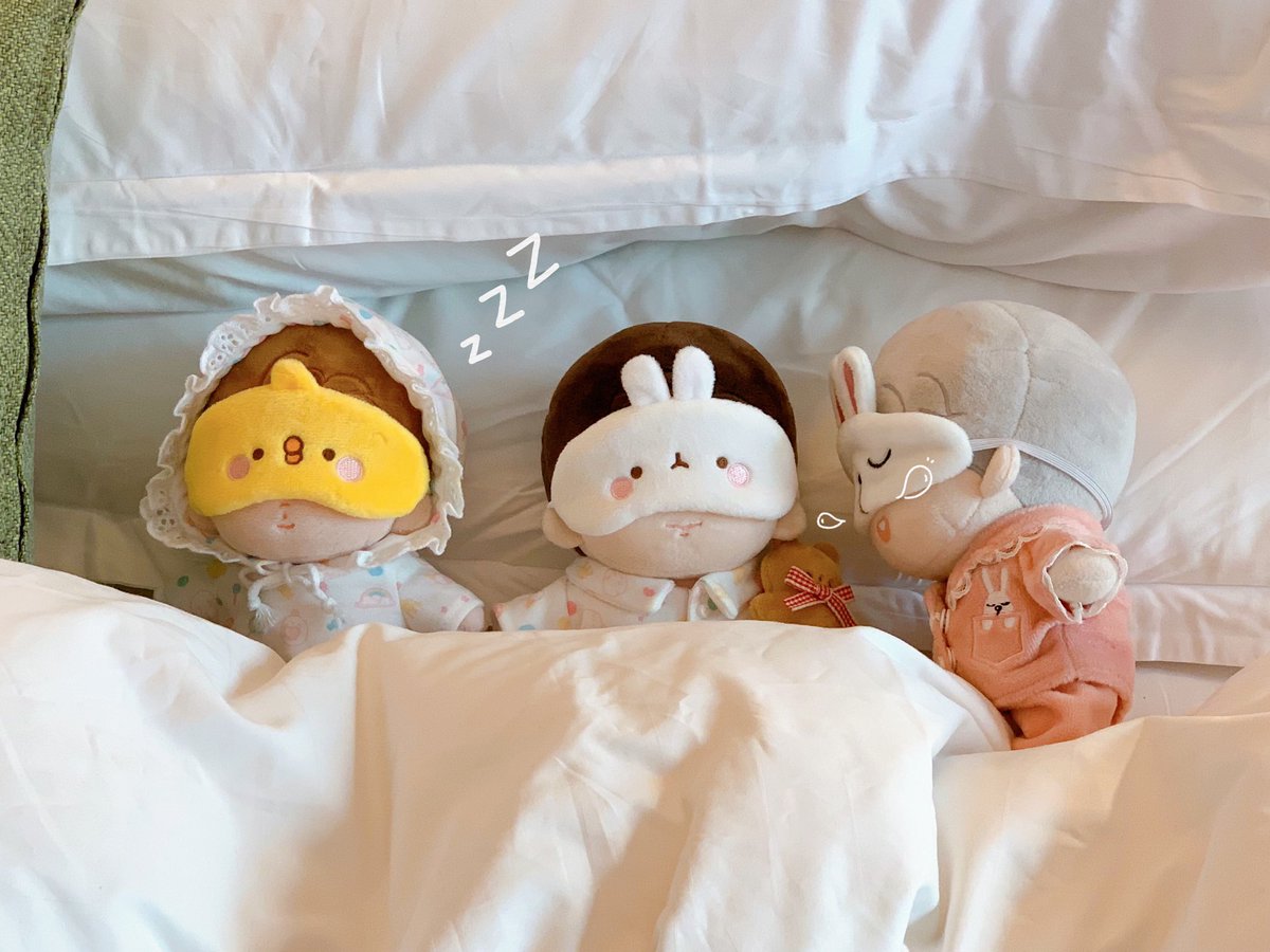 미더덕 tweet media