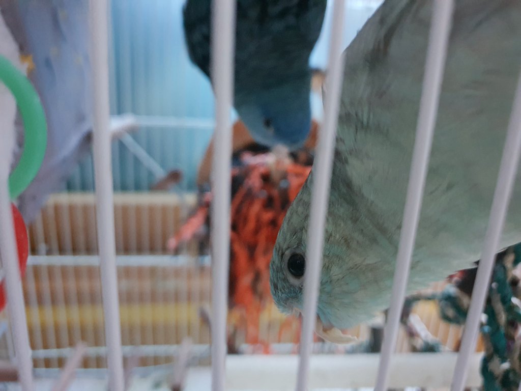 ?? 