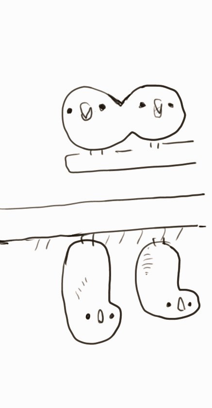 ?? 