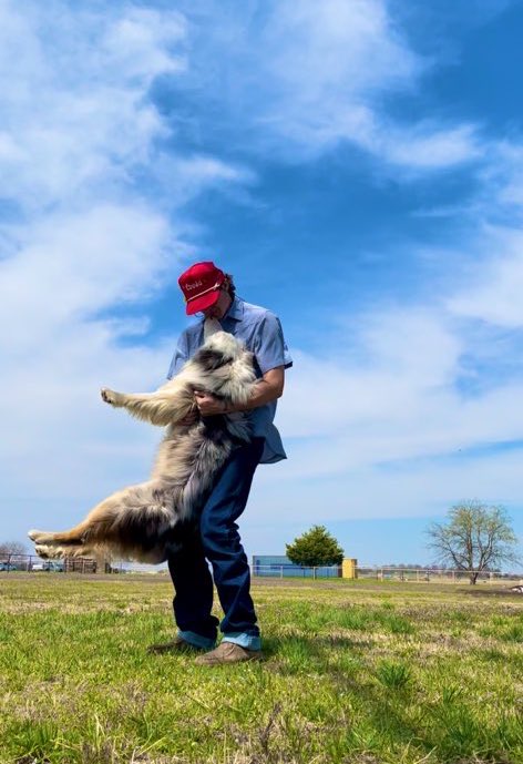 DSilly_'s tweet photo. Life hack: get a dog. https://t.co/sq7ZnPhW79