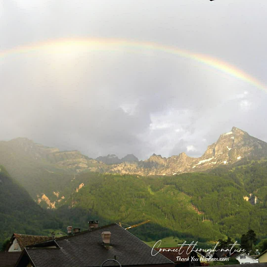 ThankYouHashem_'s tweet photo. Connect Through Nature
#thankyouhashem #thankful #grateful #creation #nature #sky #sun #rain #rainshower #fog #rainbow #trees #shadow #relfect #reflection #leaves #mountain #season #winter #hashem #tyhashem #creation #connectthroughnature #tyh https://t.co/OQafzVMYbK