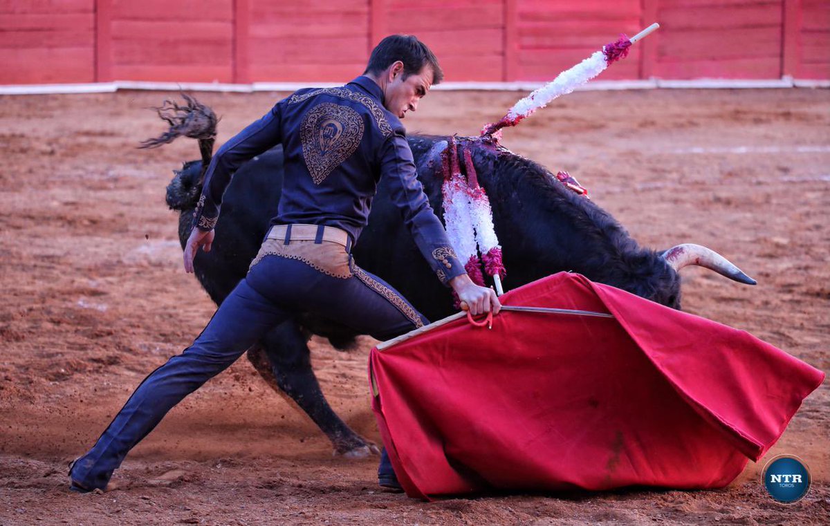ntrtoros's tweet photo. #Zacatecas 🇲🇽 Dos avisos y palmas para Arturo Macías @ArturoMaciasOF que ha dejado una faena variada que no coronó con la espada #somosntrtoros 

📷 @FOTOBRIONES / NTR Toros https://t.co/BBZrFjSZiq