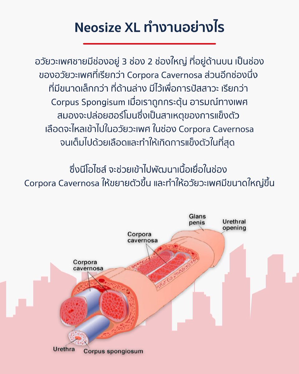 ShopMan's tweet photo. https://t.co/enN94kcCSV #neosize
#ยาเพิ่มขนาด จากอเมริกา #เพิ่มขนาดน้องชาย #ใหญ่ยาว #ยาบำรุงชาย #อาหารเสริมชาย #สมุนไพรชาย #ยาแข็ง #นกเขาไม่ขัน #ยาผู้ชาย #เพิ่มขนาดควย #เพิ่มขนาดชาย #เพิ่มขนาดท่านชาย #ยาเพิ่มขนาดน้องชาย #ยาเพิ่มขนาดใหญ่ยาว #ยาเพิ่มขนาดท่านชาย #neosizexl https://t.co/V0sjg6XDvO