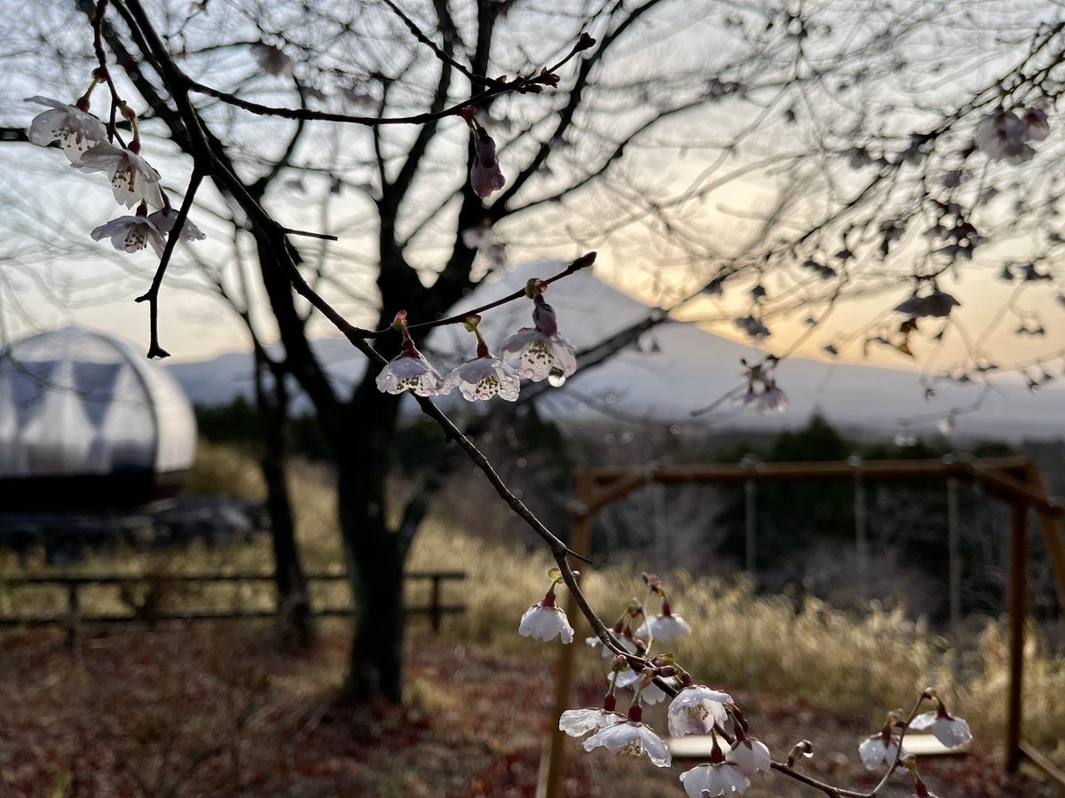 YukioFUNADA's tweet photo. よーく見ると…

雫の中に 逆さ富士

#ウェルネスツーリズム #ヘルスツーリズム #森林セラピー #富士山 #日月倶楽部 https://t.co/OLnPOm0uAm