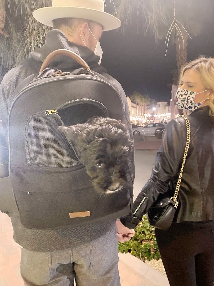 keriwhite's tweet photo. Would I recommend a dog backpack? Yes. Would I ever carry it? No. 😉 

Thoughts on Eric's new accessory? 🎒 🐶 
.
.
.
#santamonica #sundayfunday #sundaywalk #dodbackpack #newpup #puppylove #wayofthedog #ladogs #puppiesofinstagram #puppies #puppyoftheday #dogwalk #furbaby https://t.co/O650EL5ZPv