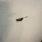 旦那さんのセンス最高!事故で壁に穴が空いた後だなんて思えない