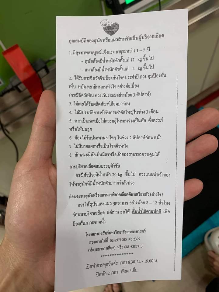 Only__force's tweet photo. ขอรับบริจาคเลือดแมวด่วน!!

ต้องการความช่วยเหลือน้องแมวสก้อตติชตัวนี้ เนื่องด้วยน้องป่วยเป็นโรคซีด่าน (ซีดเหลือง) , ถุงน้ำดีผิดปกติ และเม็ดเลือดแดงต่ำ ตอนนี้น้องอยู่ห้องฉุกเฉิน รพ.เกษตรศาสตร์ น้องต้องการเลือดกรุ๊ป A ที่มีคุณสมบัติดังนี้ >>>

#ทวิตดีคนรีน้อย #บริจาคเลือดแมว #ทาสแมว https://t.co/fZ909uARFB