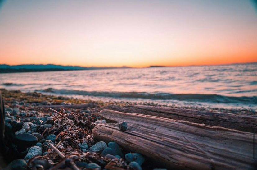 Relaxation, adventure, and the ocean 🌅 | SunriseRidge.ca

📷 nicholasknightmedia