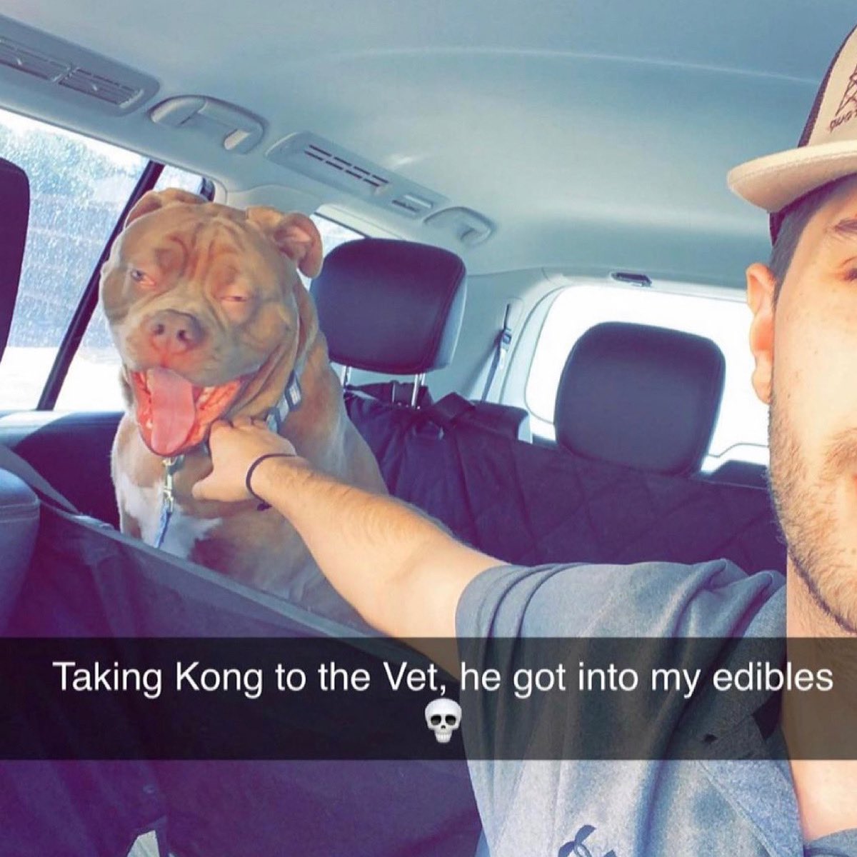 holysmokecanna1's tweet photo. Ya boy flying high 🐶 
#yyc #calgary #yycbased #supportlocal #localbusiness #cannabis #cannabiscommunity #CBD #funny #THC https://t.co/MYvROlhoMU