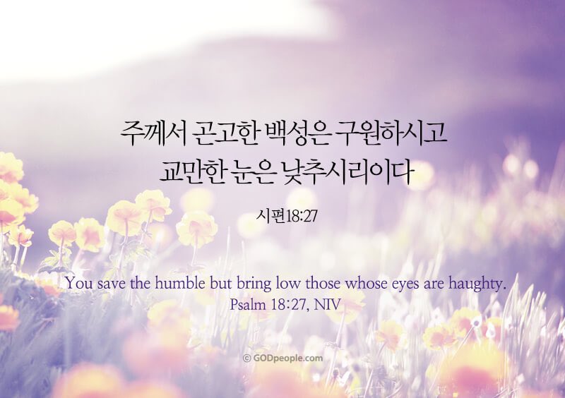 choi young sun(최영선) (@holyyoung) on Twitter photo 