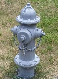 bug_husk's tweet photo. @taylorazz this fire hydrant https://t.co/Pc8lljcN6T