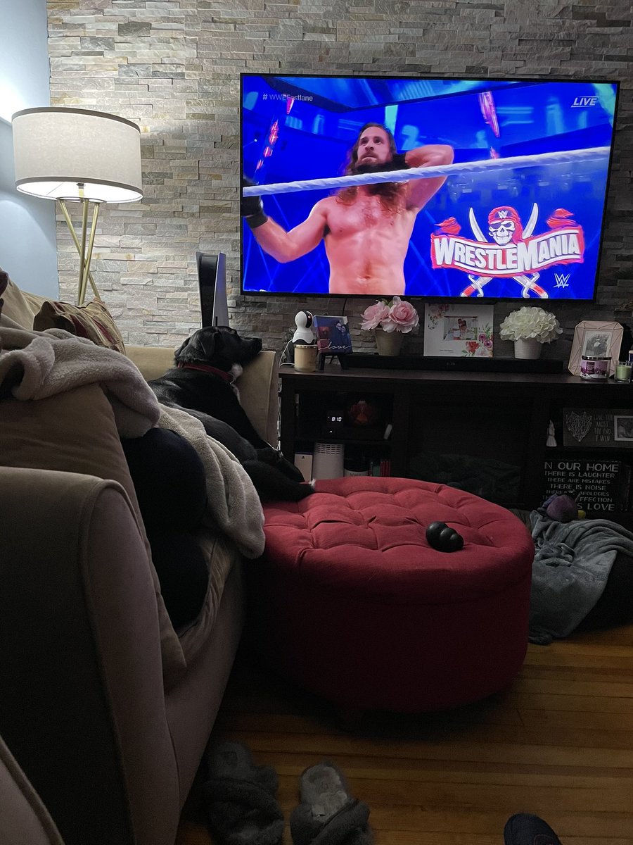 cyril_0387's tweet photo. @WWERollins even my pooch knows when to #EmbraceTheVision https://t.co/DufKpTSLDQ