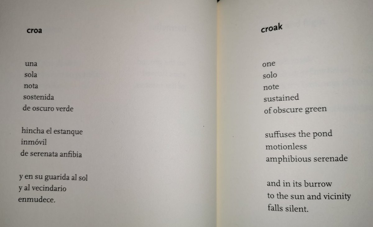 migueldobrich's tweet photo. En espaรฑol & in english: "Croa"/"Croak" by Luis Bravo.
Translated by William F. Blair with Pablo Rodrรญguez Balbontรญn @SongBridgePress
๐บ๐พ๐บ๐ธ
#DรญaMundialDeLaPoesรญa
#WorldPoetryDay https://t.co/0A8mKVpEvs