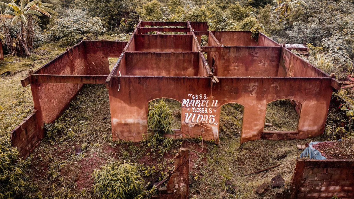 Guilherme Gandolfi 📸 tweet media
