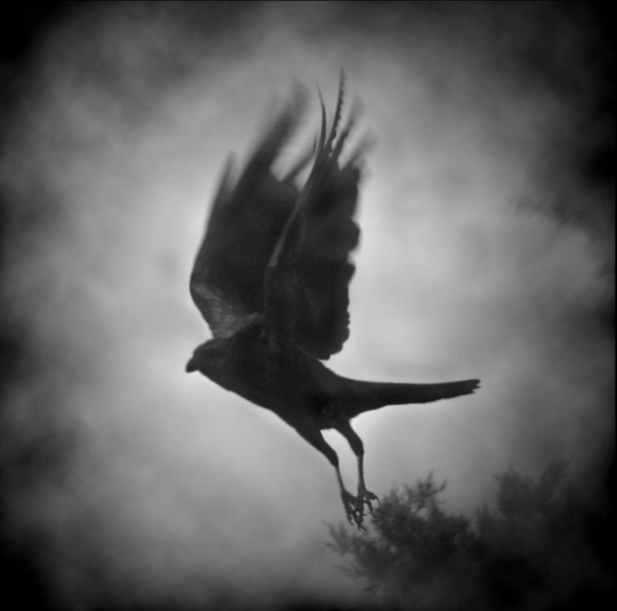 The Crow #PHOTOS