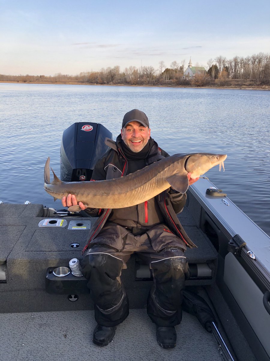 Dave Schultz tweet media