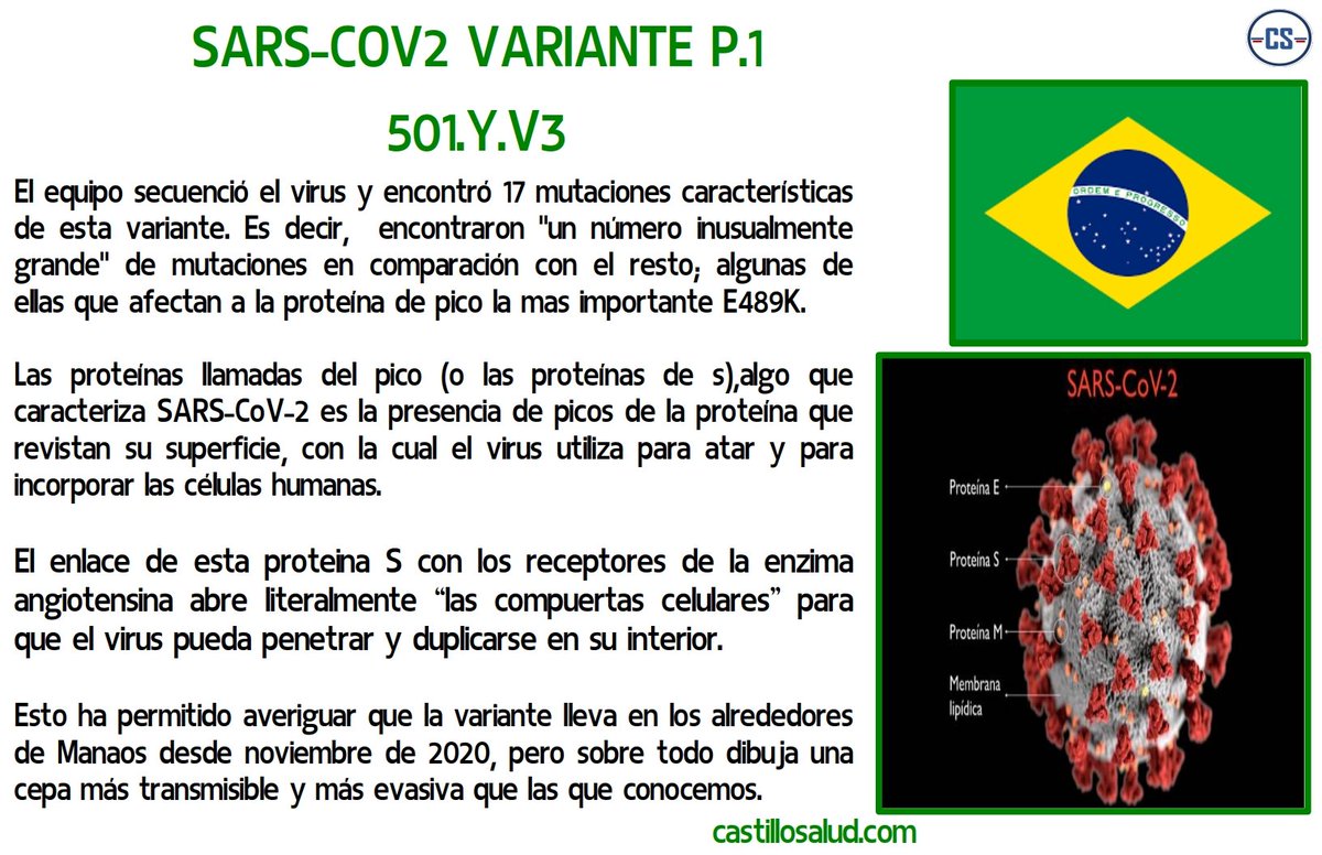 castillosalud1's tweet photo. Sars-cov2 variante P-1

#COVID19france #SARSCoV2 #cuarentenaRadicalReforzada #COVID19 #Venezuela #viral #COVIDー19 https://t.co/BCYE7IifGZ
