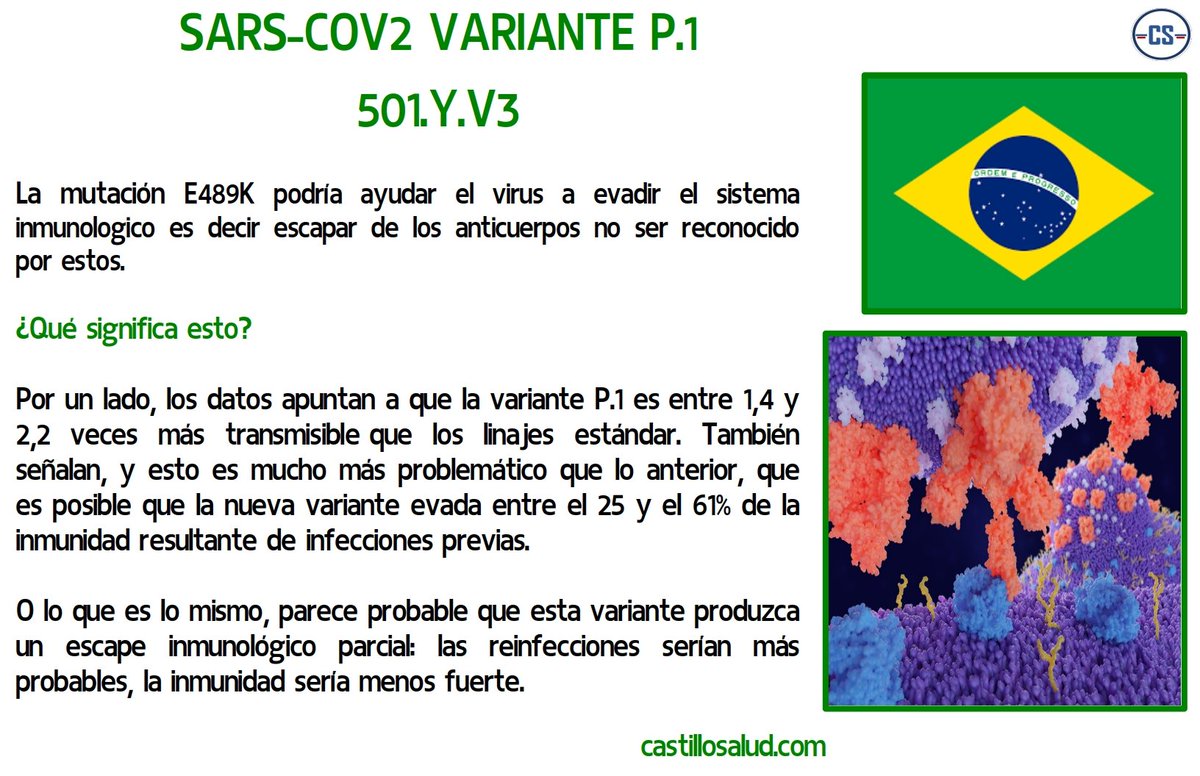 castillosalud1's tweet photo. Sars-cov2 variante P-1

#COVID19france #SARSCoV2 #cuarentenaRadicalReforzada #COVID19 #Venezuela #viral #COVIDー19 https://t.co/BCYE7IifGZ