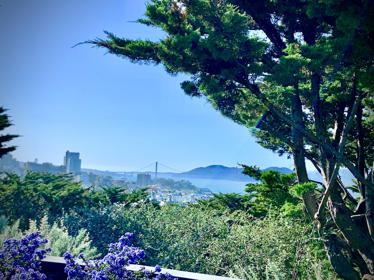 joelriddell's tweet photo. Lola is a bit tuckered out after touring the city - her favorite stop this afternoon? From #coittower we could see so much of #onlyinsf & beyond - #AlcatrazIsland #GoldenGatePrev w @robtmoon & #Lola #Dogsoftwiter #sfrecpark https://t.co/mFnLuBOQr1