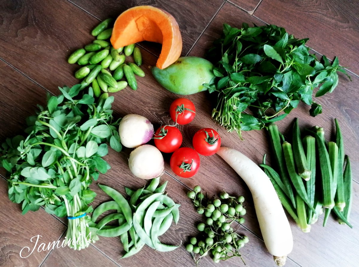 Getting ready for another busy week
#freshveggies #vegetarianmeals #vegetables #greenleaves #weekendshopping #indianshopping #weeklyshopping #indianvegetables #greenandfresh #colourfulplate #foodforsoul #weeklymenu #chennaifoodie #chennai #homecooked #tamilnaduspecial #tamilnadu