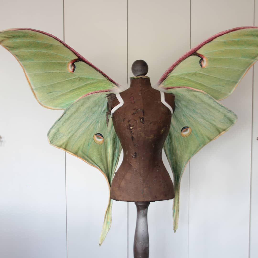 fentyfairies's tweet photo. wings by fairykill_creations https://t.co/v4UmmS4SUy