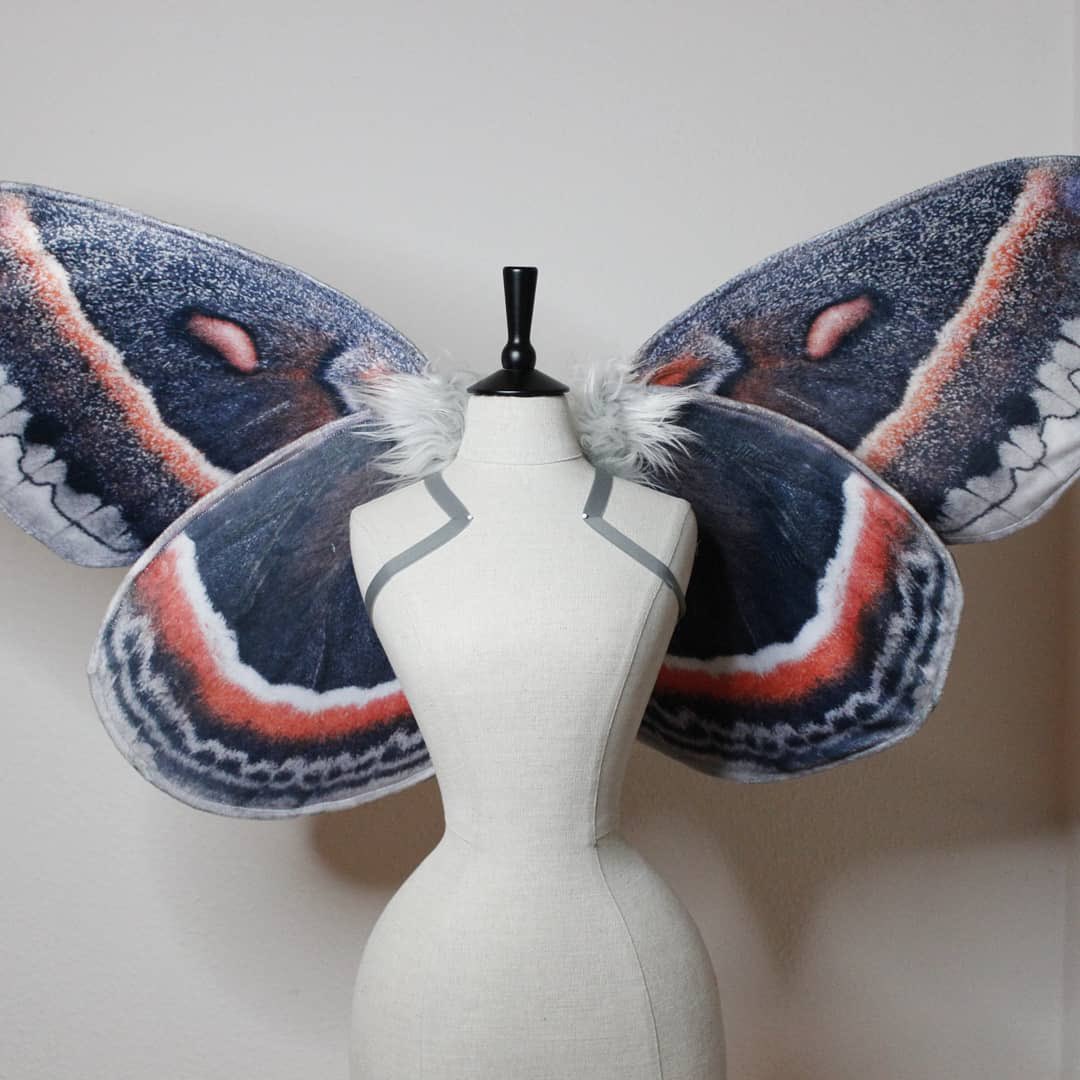 fentyfairies's tweet photo. wings by fairykill_creations https://t.co/v4UmmS4SUy