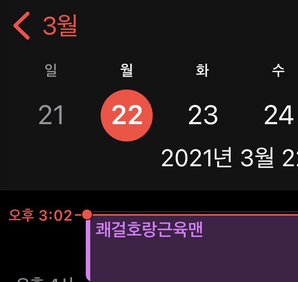 개롯들아 오늘 기념일이야 알겠지