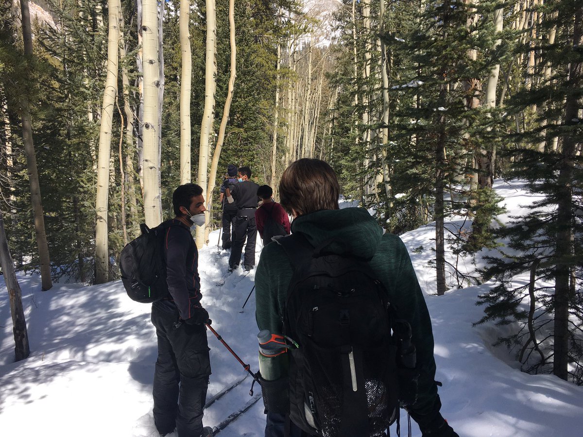 CSSWildSurvival's tweet photo. A beautiful journey downhill through the forest... https://t.co/dZMXIHyMVt