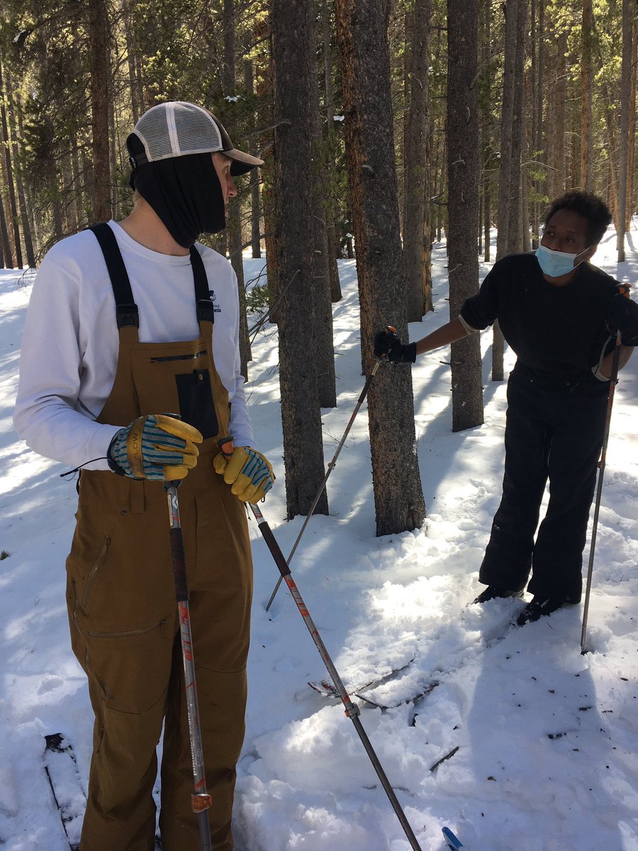CSSWildSurvival's tweet photo. A beautiful journey downhill through the forest... https://t.co/dZMXIHyMVt