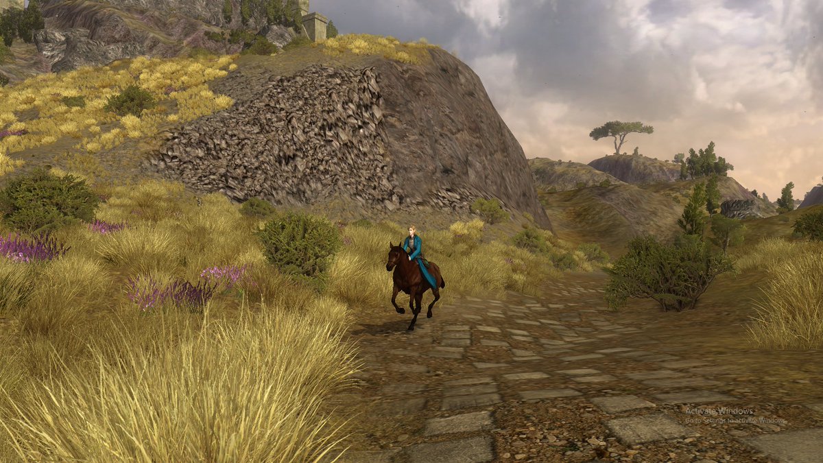 hlburkewriter's tweet photo. #ElfUpdate looking epic on my evening ride #Lotro https://t.co/RuiQH9SZyE