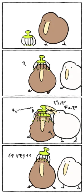 頭皮マッサージされるキーウィ 
