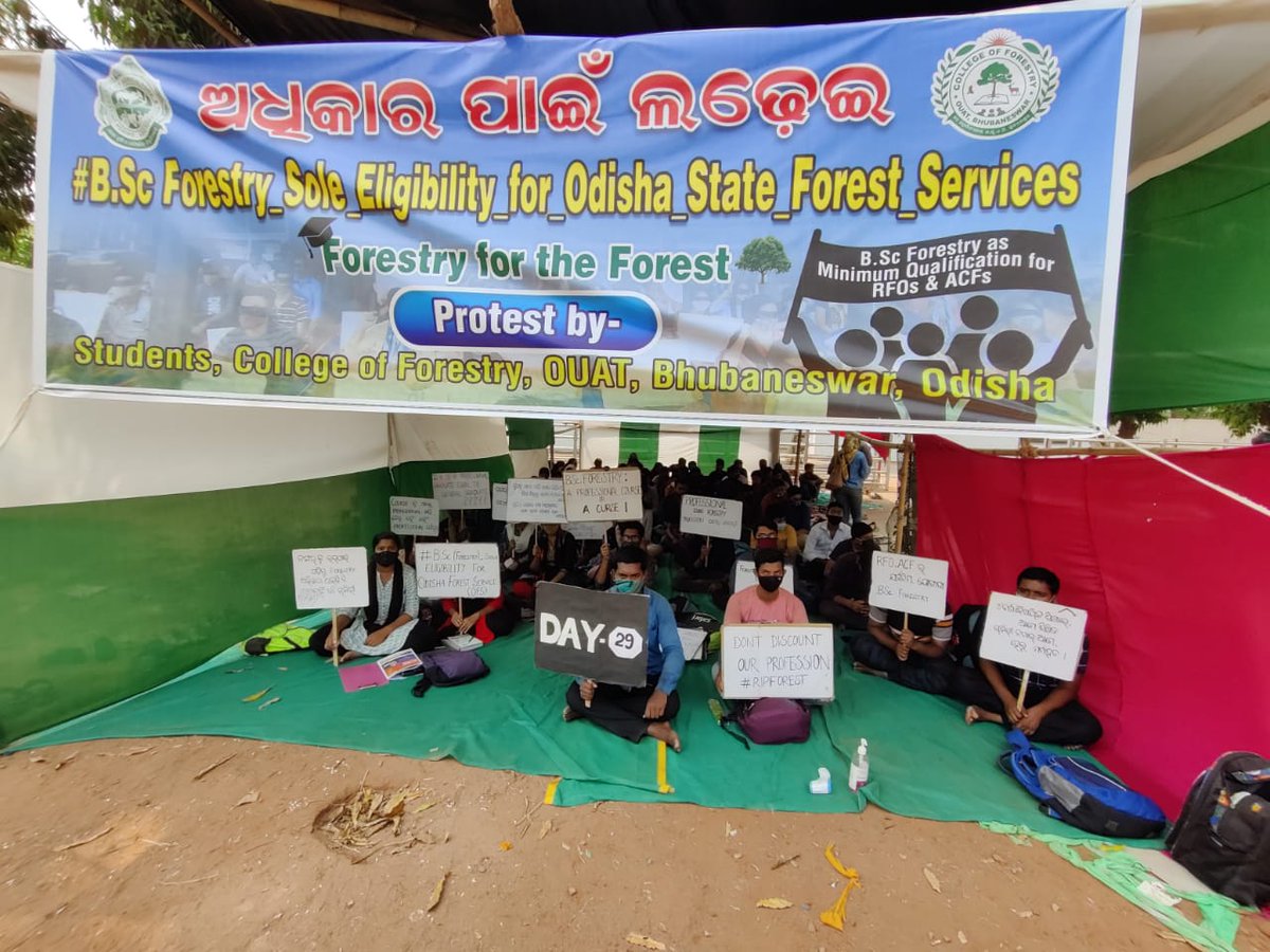 Muktikantamish4's tweet photo. Ame 29 din hela basichu au dabi purana naheba jaein semiti basibu...... sei josh re ama haq ra ladhei ladhibu
#BSc_Forestry_Sole_Eligibility_for_Odisha_State_Forest_Services
@Naveen_Odisha @CMO_Odisha @BKArukha @dr_arunsahoo @SecyChief @MoSarkar5T @PrakashJavdekar @sandeepifs https://t.co/oB1FTcFC8i