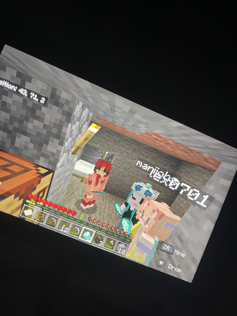 jaesvaIentine's tweet photo. minecraft with my loves it was meant to be a group game but sofi had technical issues and mia is weeb https://t.co/ZsWEYPQo1w