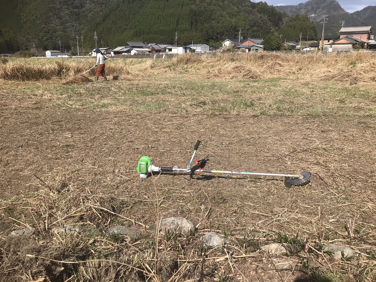 hl_0032's tweet photo. 畑を手に入れたから開墾中
兼業農家目指します https://t.co/ORzsOJ7Vas