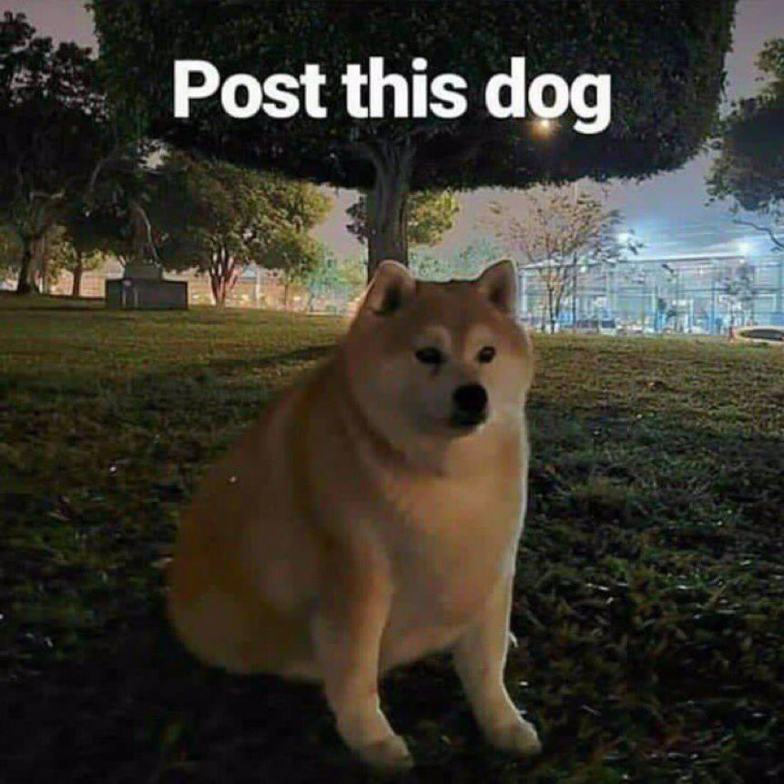 MxsterSenpai's tweet photo. https://t.co/guFSK5zKGO