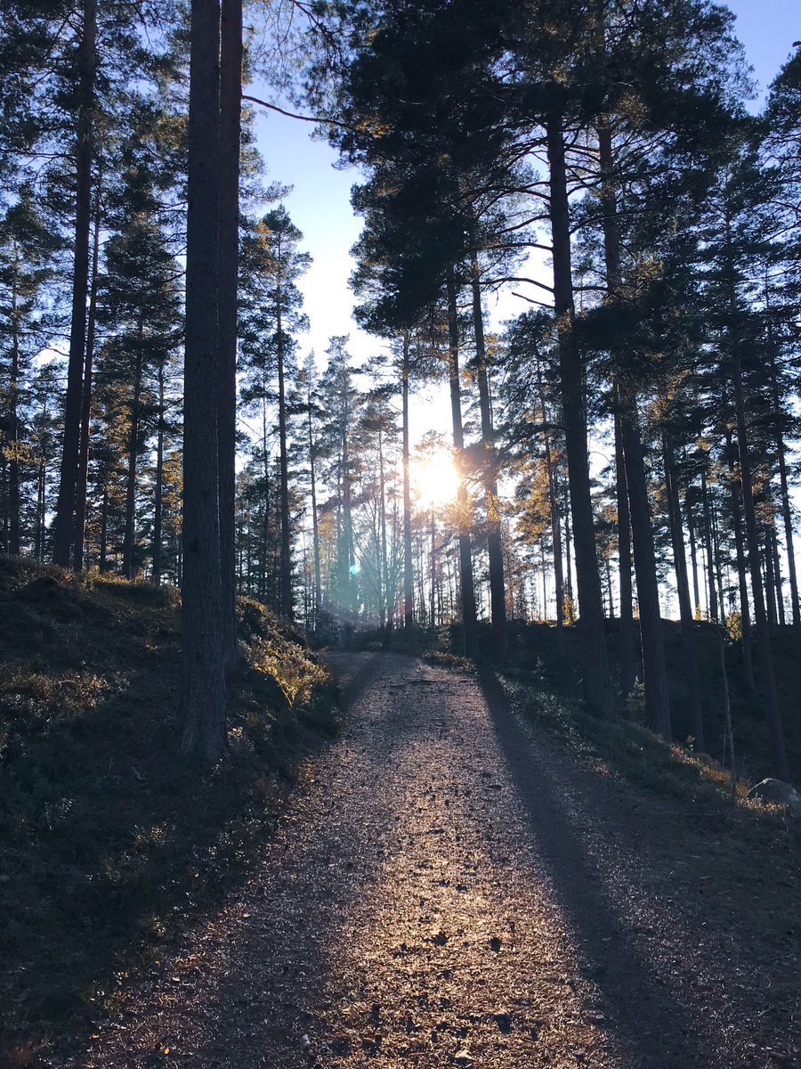 TheAfsin's tweet photo. Morning walks are more fun, when days are getting longer. Welcome #spring to #sweden :) #equinox #sunrise #sverige #nature #naturelovers https://t.co/UMfQX2RBc4
