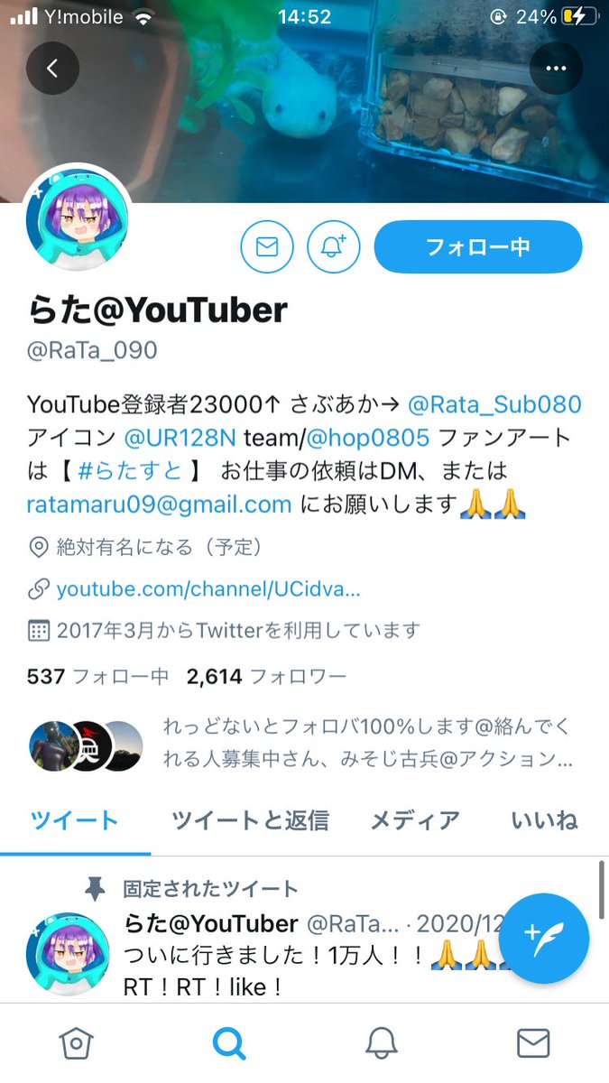 しいすチャンネル Youtube Siisu1217sw Twitter