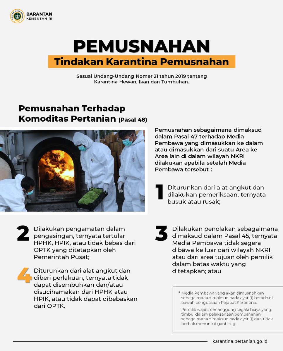 saudi_tunru's tweet photo. Pake jahe lokal aja, tp klo ngebet yaudah ikuti prosesur dan persyaratannya ya,, biar aman dan tidak berakhir dengan pemusnahan
@ayurastiani @Ady_Soerja @r_shiddikw
#PemusnahanJaheBerpenyakit https://t.co/3RAxHAzhUZ