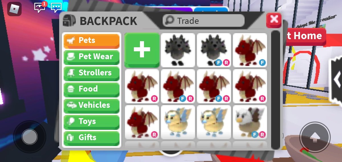 Mo1Bing's tweet photo. #adoptmetradings #adoptmetrades #adoptmetrading #adoptmetrade 

Trading ! 

Let me Know If You Want Age Of Them 

Looking For :
- Trex 
- Dodo
- Skele Rex
- Frost Fury 
- Legendary Pets 

⭐ I don't offer ⭐
( Press Picture ) https://t.co/CwtDmDvhC7