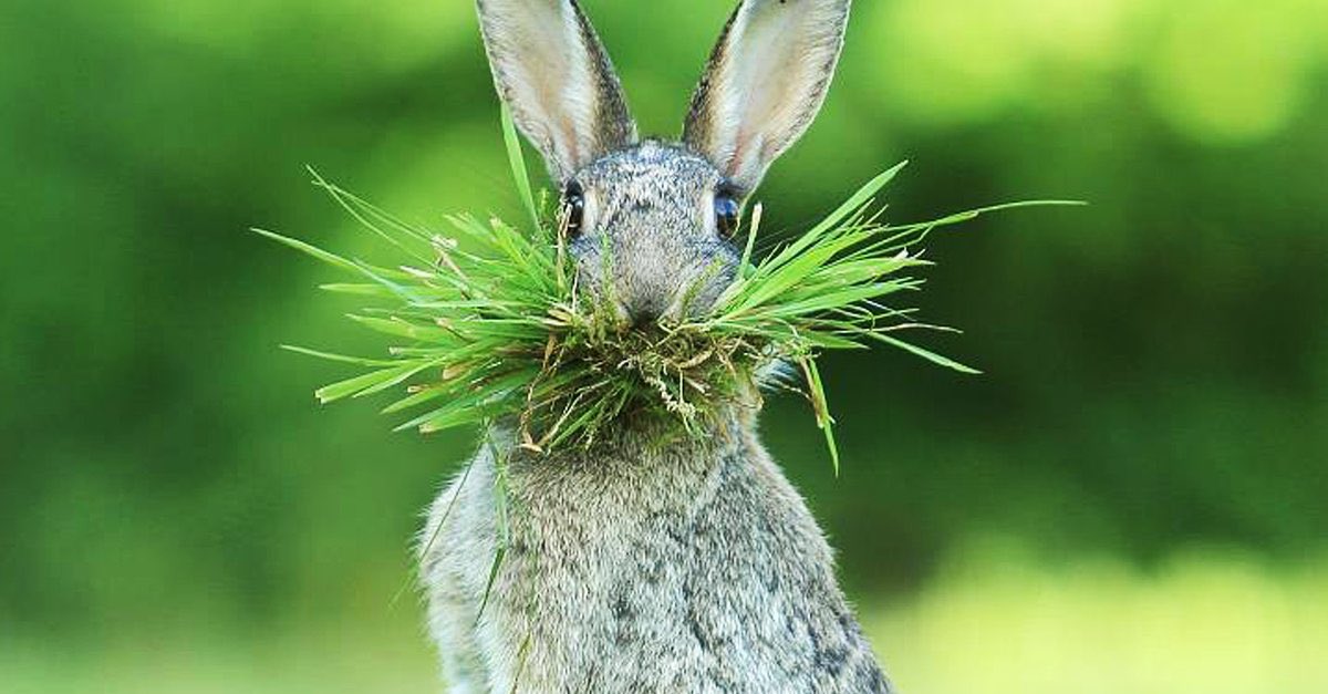 In six words or fewer, write a story about this photo.
#sixwordstory #WritingCommunity