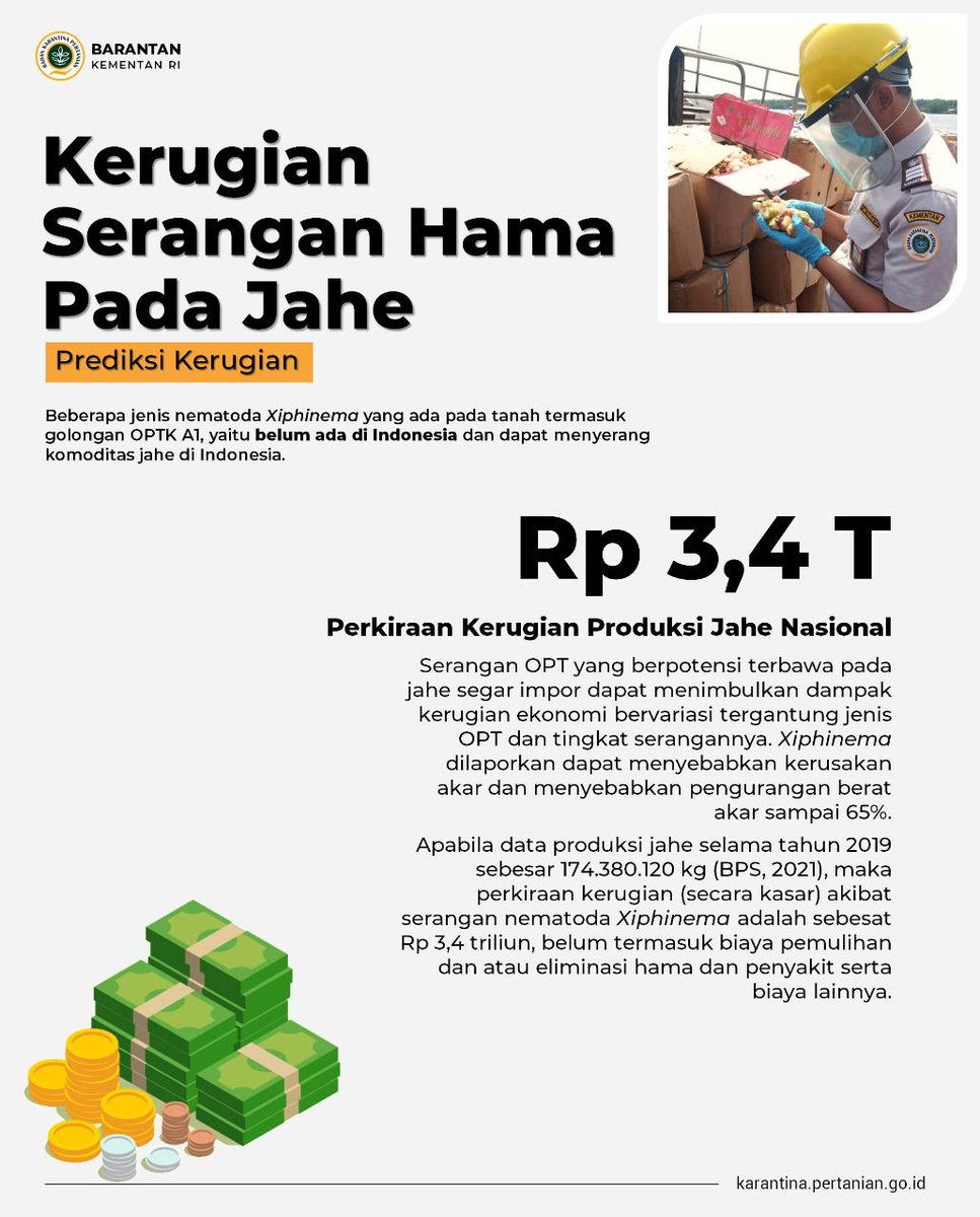 saudi_tunru's tweet photo. Pake jahe lokal aja, tp klo ngebet yaudah ikuti prosesur dan persyaratannya ya,, biar aman dan tidak berakhir dengan pemusnahan
@ayurastiani @Ady_Soerja @r_shiddikw
#PemusnahanJaheBerpenyakit https://t.co/3RAxHAzhUZ
