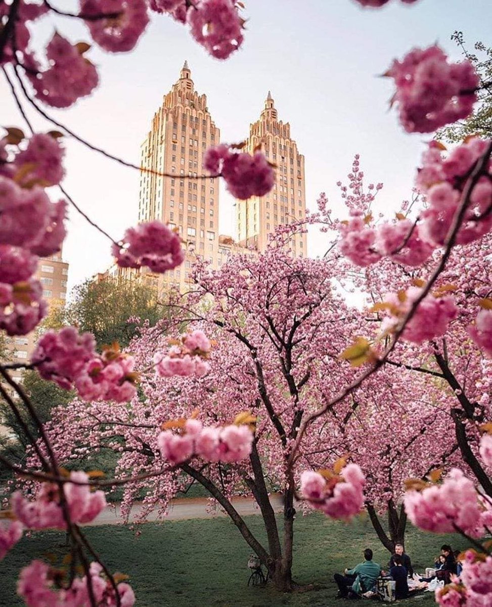 Roger Smith Hotel tweet media