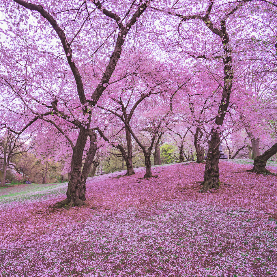 Roger Smith Hotel tweet media