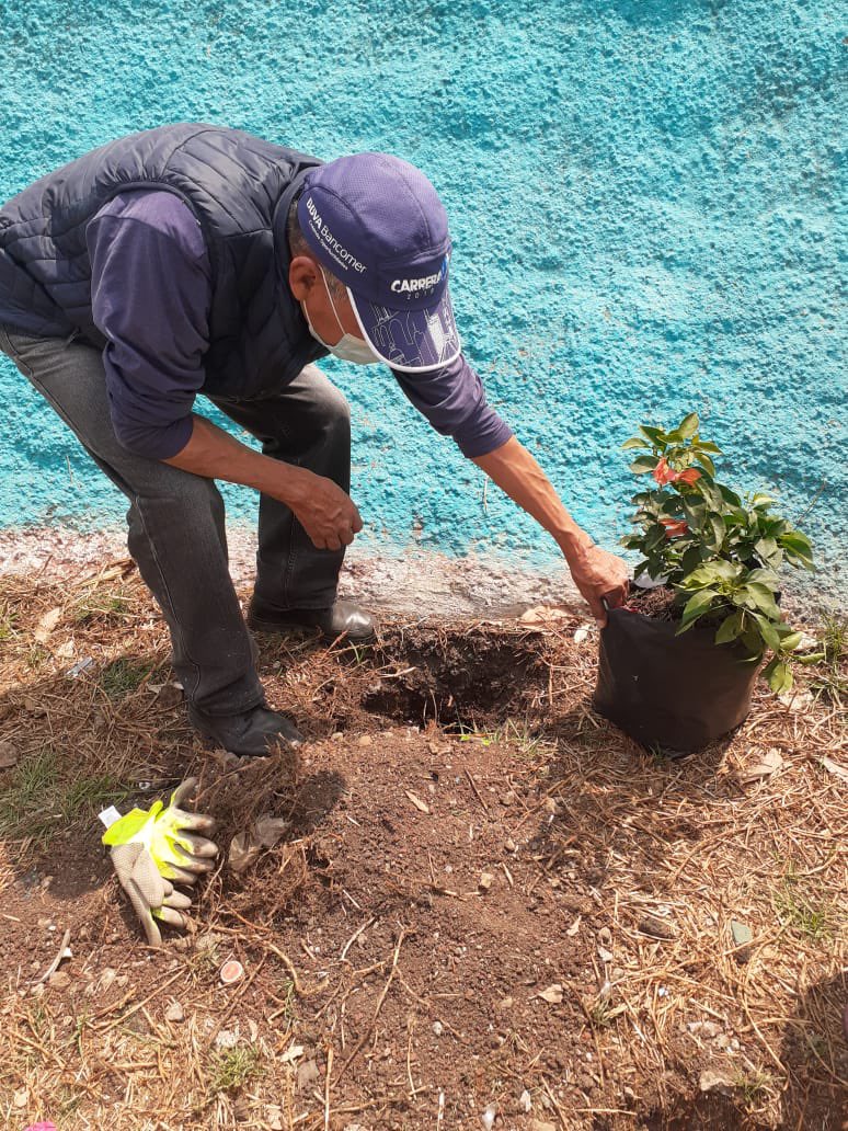 EscalandoV's tweet photo. Vecinos de las colonias:
✅#DosRíos
✅ #Acuilotla
✅ #PuntaDeCehuayo
Muy emocionados y participativos plantando buganvilias dentro del #Colectivo18 @albertoEsteva @Claudiashein https://t.co/2Fmfrh5PwD