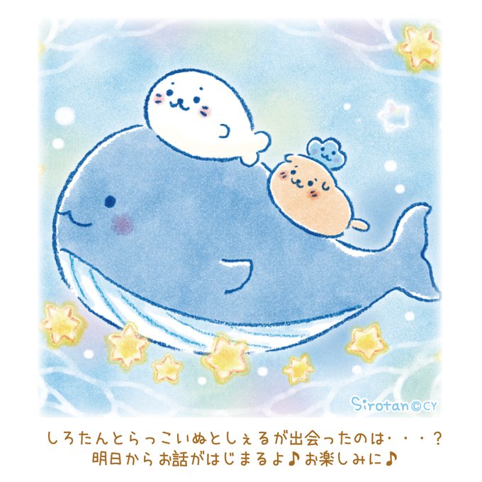 しろたん Sirotan Fun Page 7 Twilog