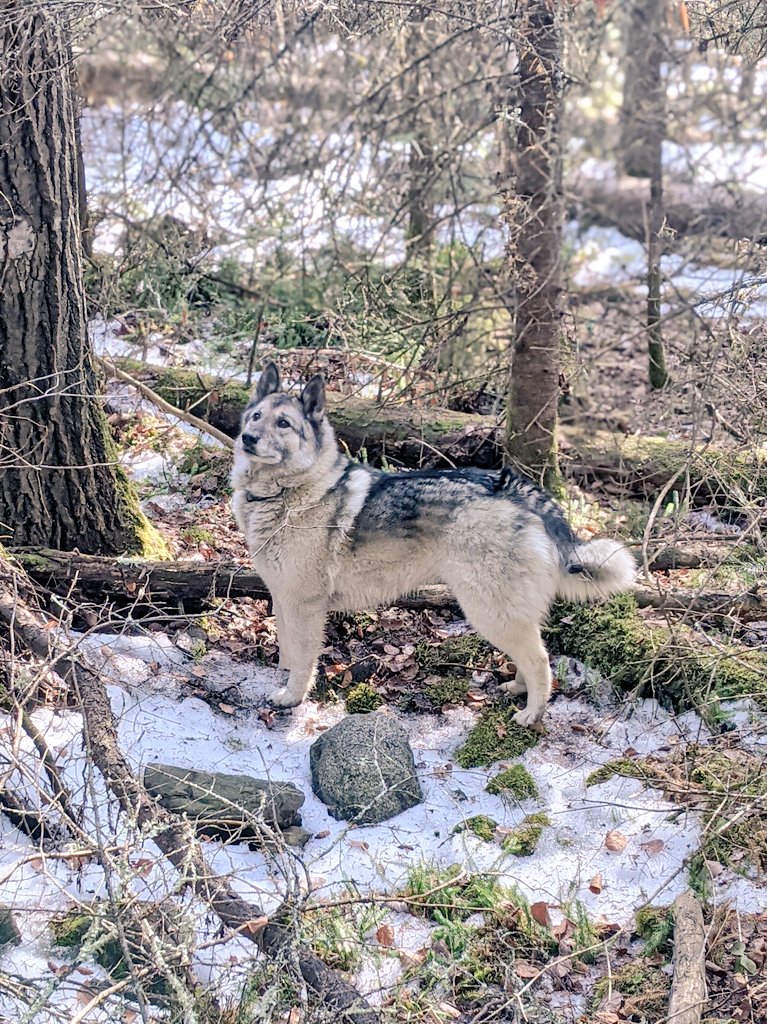 ShaunZeeee's tweet photo. Best trail guide. https://t.co/0qcuA0akZd